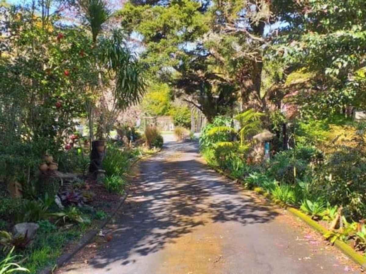 وانجاري Waimoana Garden Accommodation المظهر الخارجي الصورة